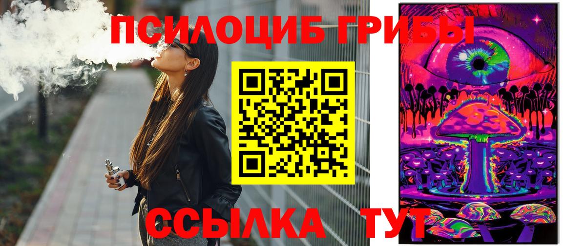 Псилоцибиновые грибы Psilocybe Новокуйбышевск